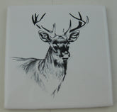 Custom Ceramic Tiles/Coasters with your custom graphic or text